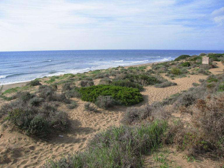 Cabopino